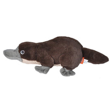 Cuddlekins Mini Platypus