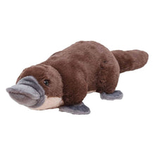 Cuddlekins Mini Platypus