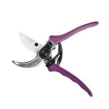 Asteraceae Secateurs