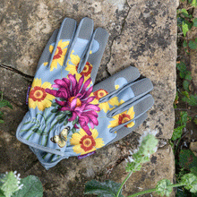 Asteraceae Women's Gardening Gloves by Burgon & Ball