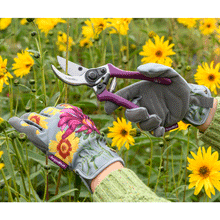 Asteraceae Women's Gardening Gloves by Burgon & Ball