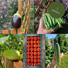 Summer Garden in a Bag