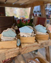 Winter Garden in a Bag