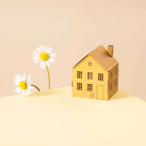 House Mini Model