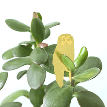 Plant Animals – Owl