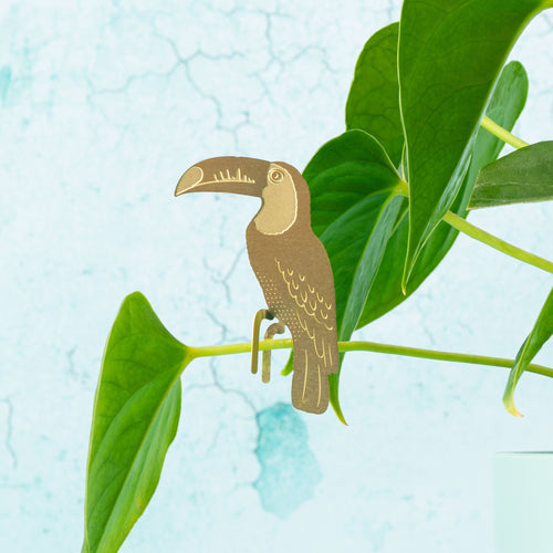 Plant Animals – Toucan