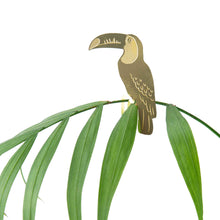 Plant Animals – Toucan