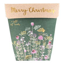 Christmas Seed Card Set of 4 - Gift of Seeds