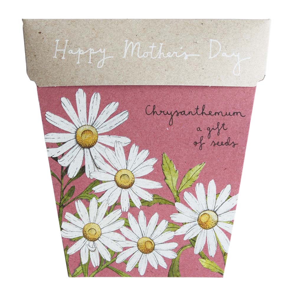 Chrysanthemum Mother’s Day Gift of Seeds - Gift Card