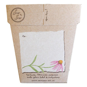 Echinacea Gift Card of Seeds
