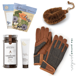 Garden Goodness Hamper - Men's Tweed Gloves