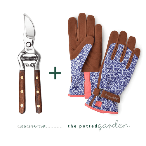 Cut & Care Gift Box for Gardeners - Artisan Gloves