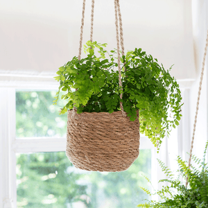 Hanging Plant Pot Set