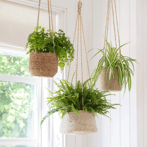 Hanging Plant Pot Set