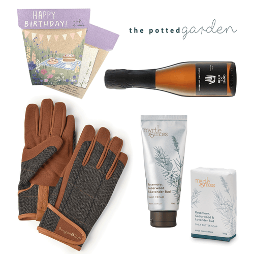 Sparkling in the Garden - The Perfect Birthday Gift Hamper for Him