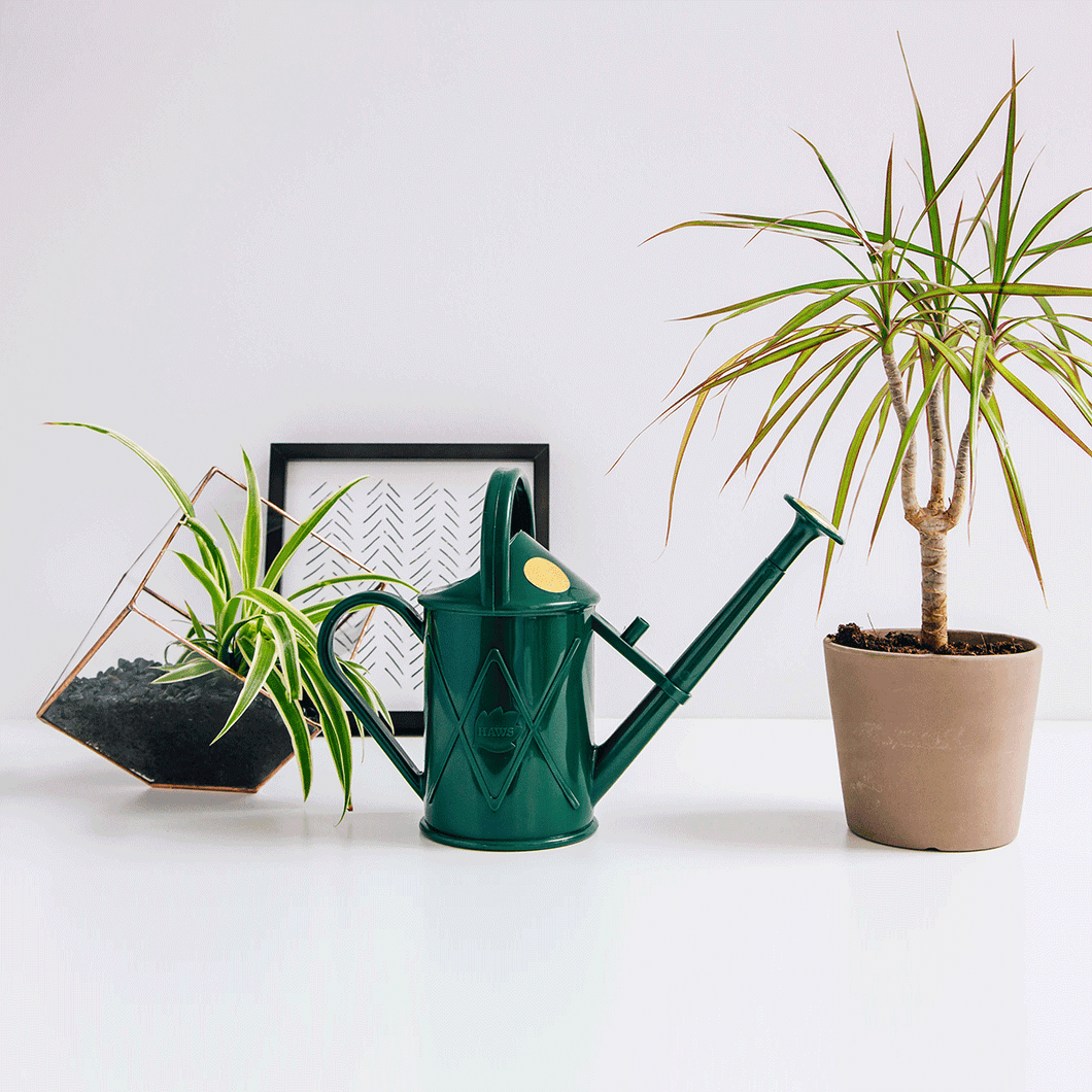Watering Can - The Bartley Burbler by Haws