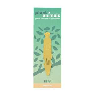 Plant Animals – Meerkat