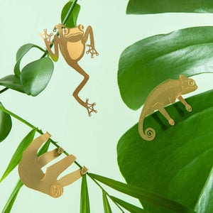 Plant Animals – Green Tree Frog