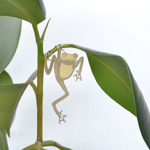 Plant Animals – Green Tree Frog