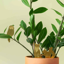 Plant Animals – Owl