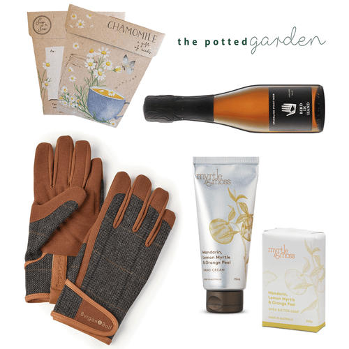 Sparkling in the Garden - The Perfect Gift Hamper for Him