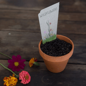 Wildflowers Gift Card of Seeds