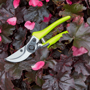 FloraBrite Garden Tool Gift Set