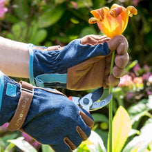 Gardeners Hand Care & Rejuvenation - For Her