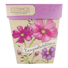 Congratulations Cosmos - Gift of Seeds | Seeds | Plant Gifts | The Potted Garden