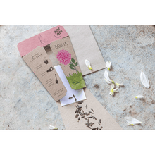 Dahlia Gift Card of Seeds