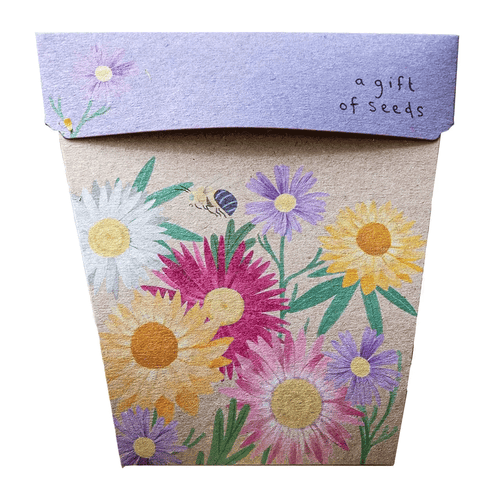 Native Daisies Gift Card of Seeds