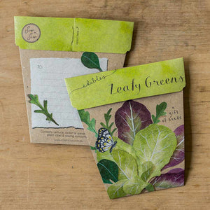 Leafy Greens - Gift of Seeds | Seeds | Plant Gifts | The Potted Garden
